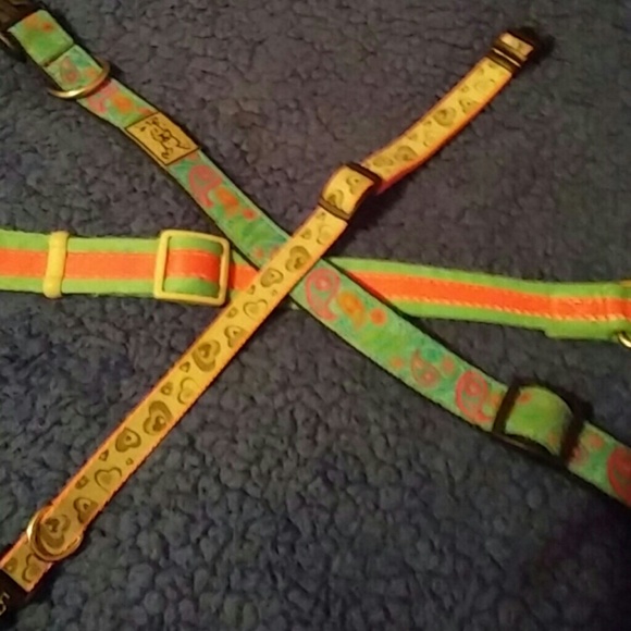 Dog - Picture 3 of 3